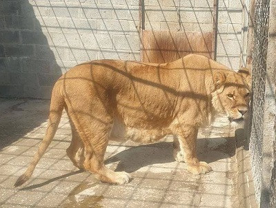 278912726 332129078908429 6028856491335931362 n