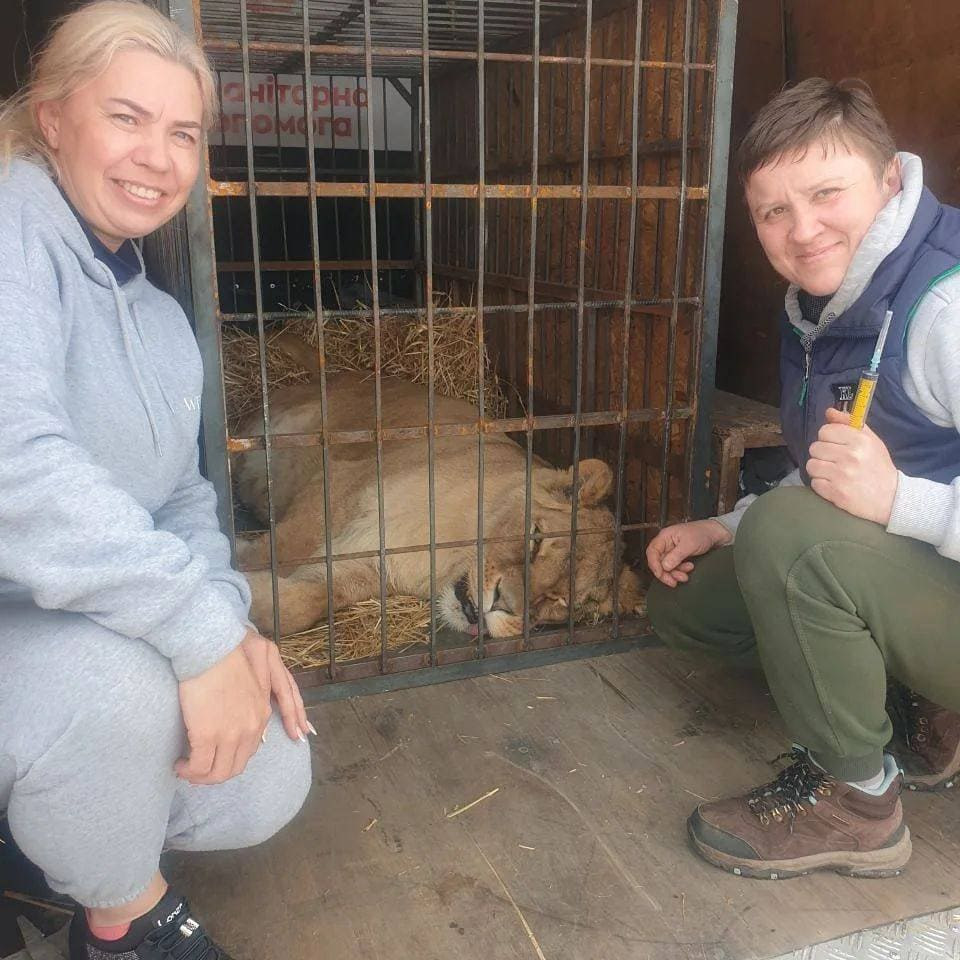 278979725 666820374411184 872158104816519768 n