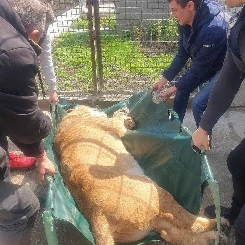 279063308 516050773563688 7168383817043661888 n