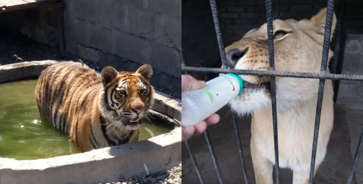 712ceafc-2726db1819baa9bd9a7a698b8b0b9fe3