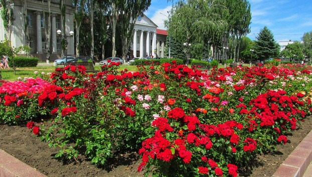 imgonline-com-ua-Resize-haD1DaMYxdDNXGdU