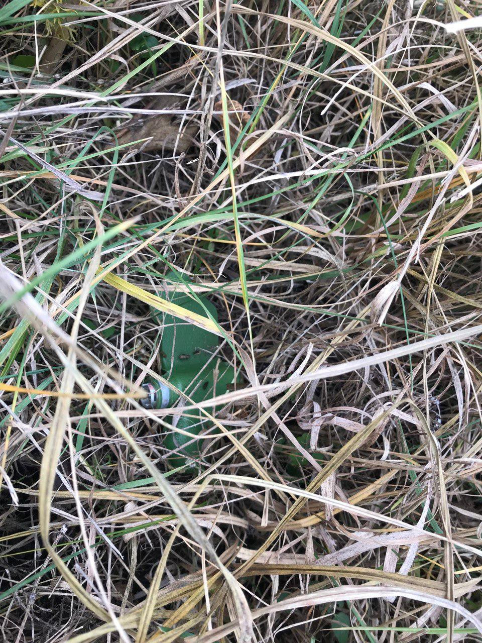 317548901 520117600156983 7548931712513644314 n