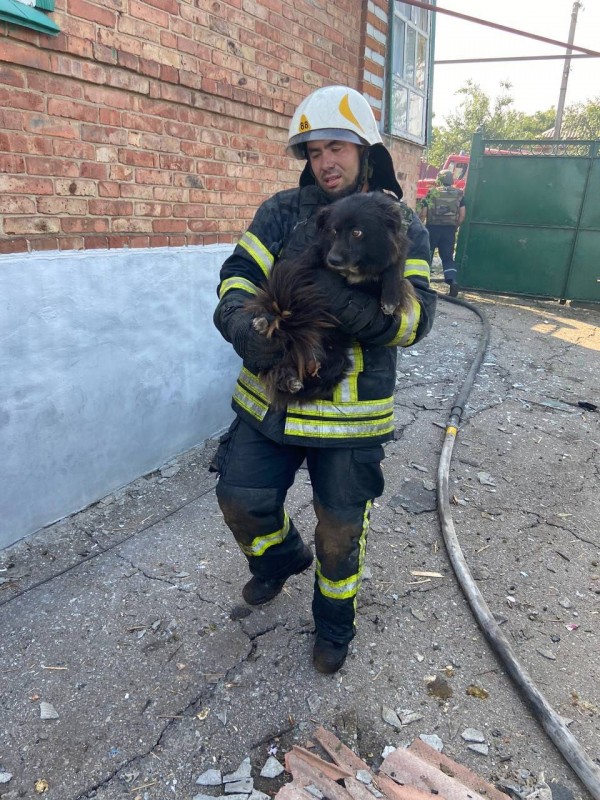 1660911184 299851560 5389374411148585 3949330339202555833 n