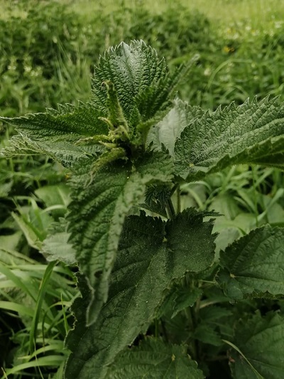 283686984 723103838766478 7903348573197950448 n 1