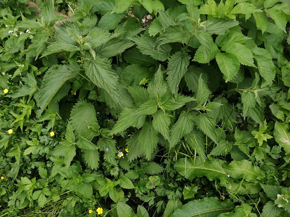 283961333 433582345266050 4669499388036419960 n