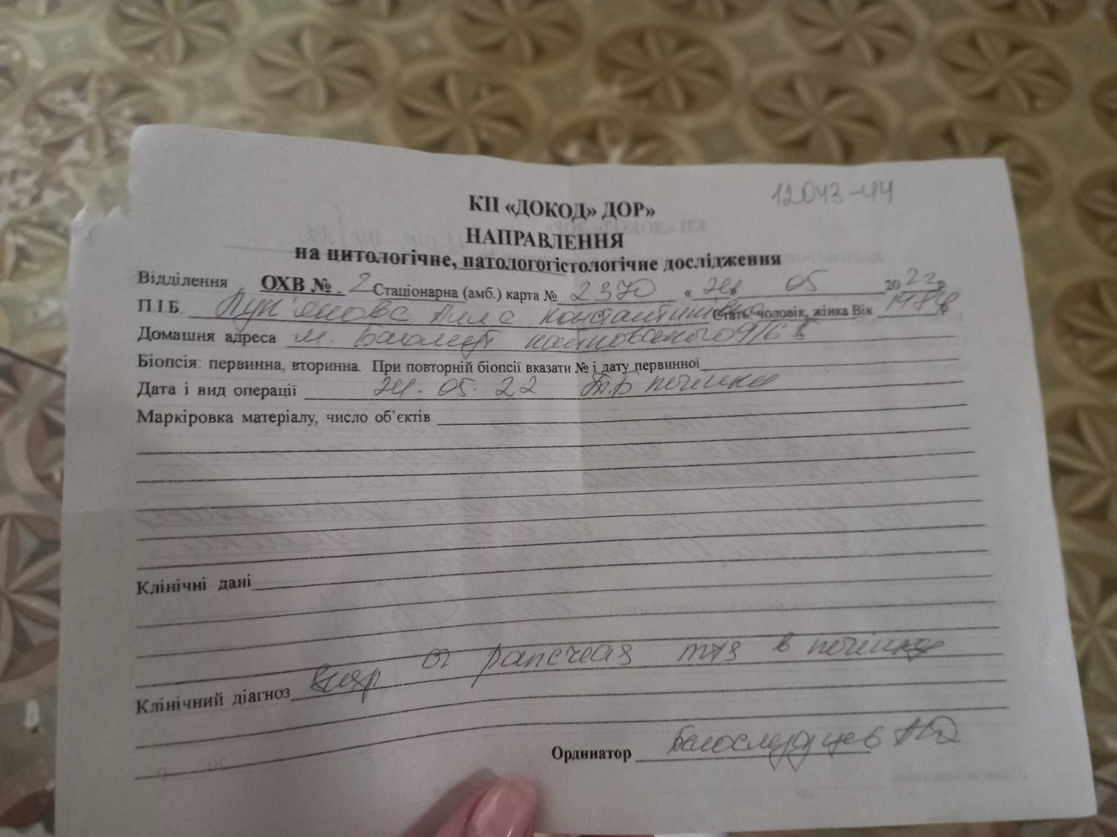 287472065 1190035321835304 4555429945725572389 n