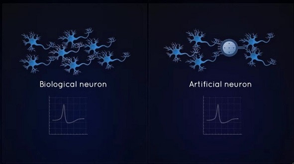 2df3fb01-9b01d01be7599c28c0a46542d5bae933