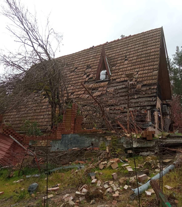 311911340 1237118323516563 4943245078855316411 n