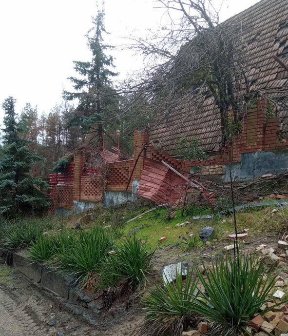 312409275 503681028331490 5686588506976824284 n