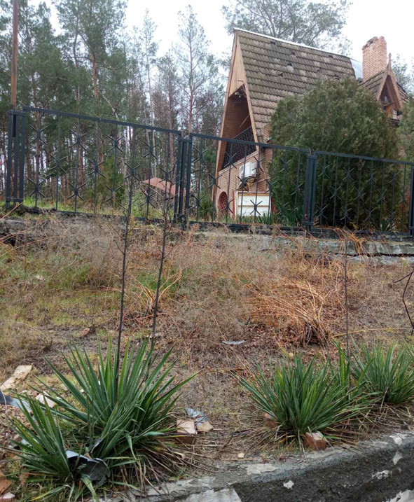 312710785 5691643184249000 8020657039986605036 n