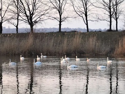 335076083 596243075719445 7545862341474247855 n