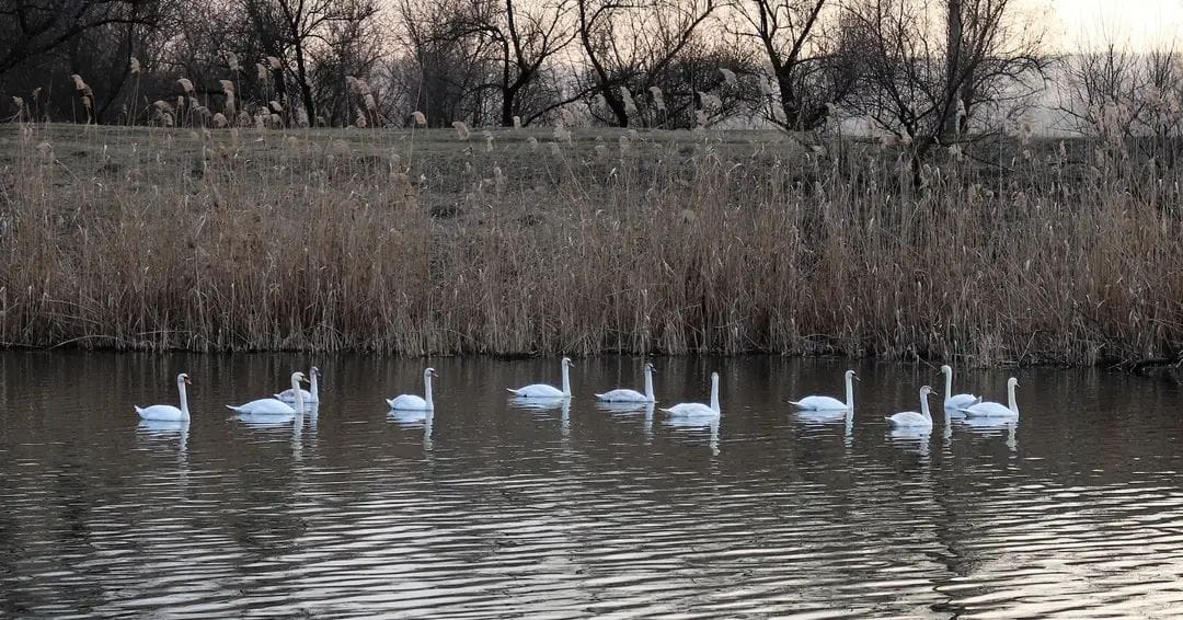 335081595 3433441630224364 4499925229406940573 n