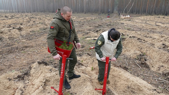 336766922 948526656164908 6066599423925969885 n