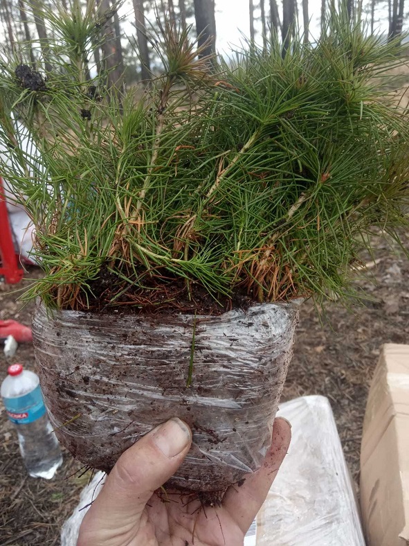 337032942 201193925886801 7487806872463181589 n