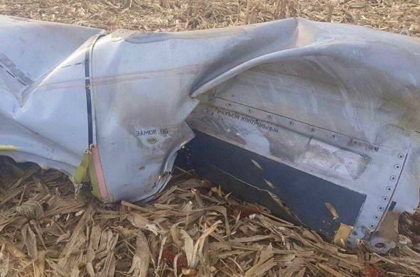 ilyustratyvne-foto large