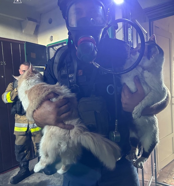 459173292 930881919080547 6291251347295298448 n 2