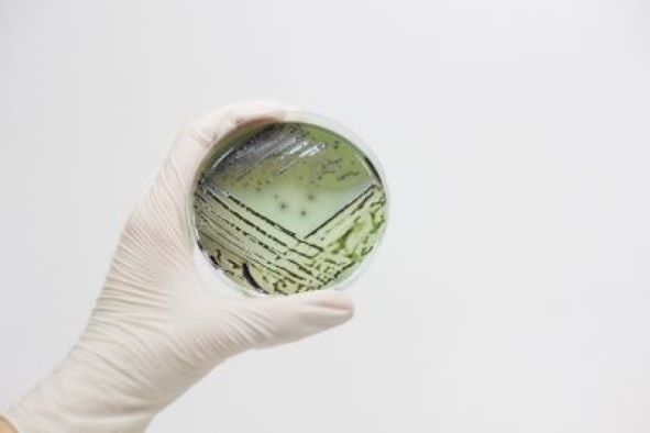 photo 2024-06-24 18-08-20