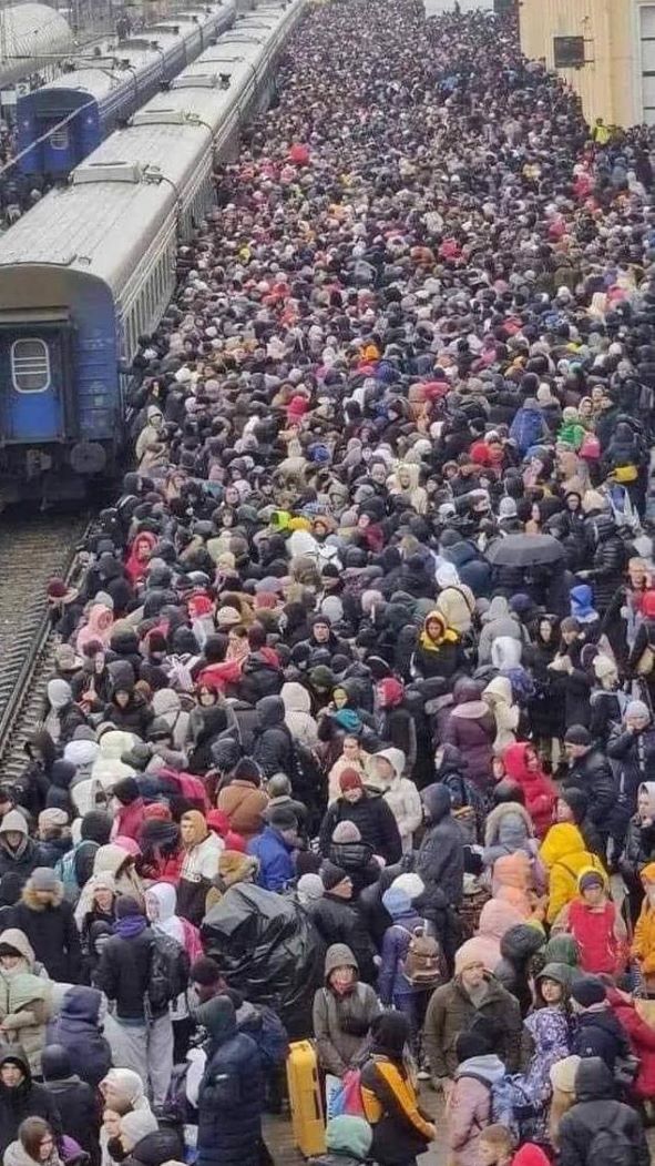 5c7352f0-b246-11ed-a1f5-c56377290301