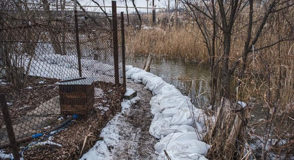 03975141306851066 n 1