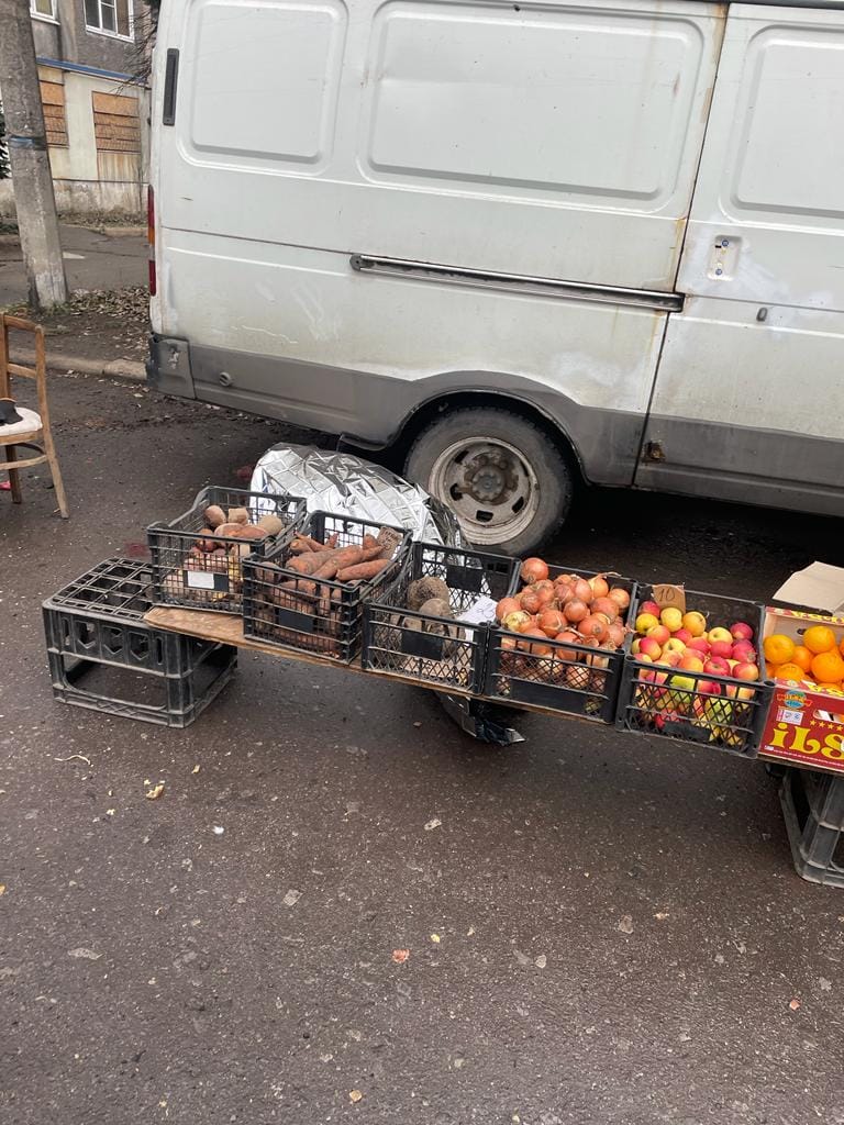 318793706 696495602032997 808516473321028940 n