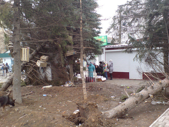 elkar