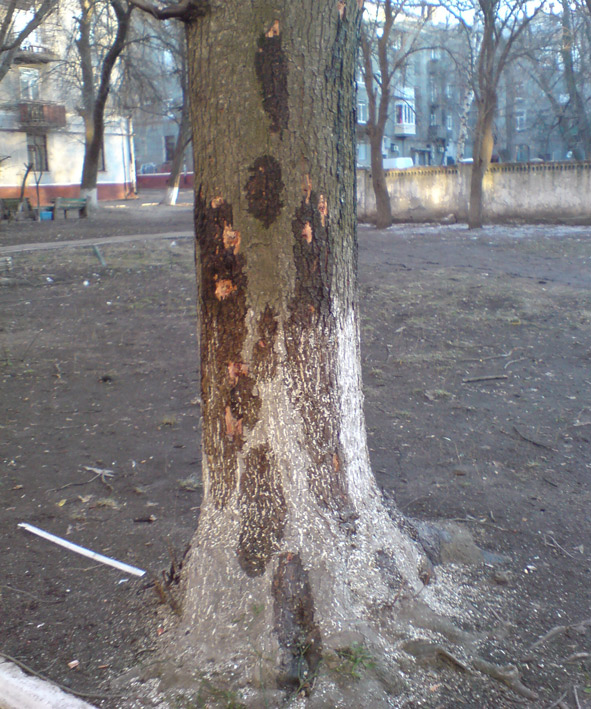 tekr3
